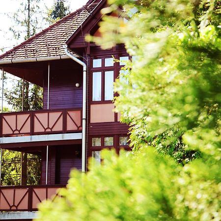 Ezuestfenyo Hotel Telkibánya Zewnętrze zdjęcie
