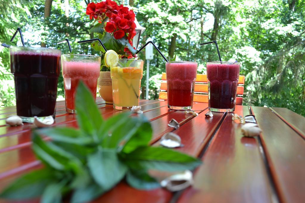 Ezuestfenyo Hotel Telkibánya Zewnętrze zdjęcie