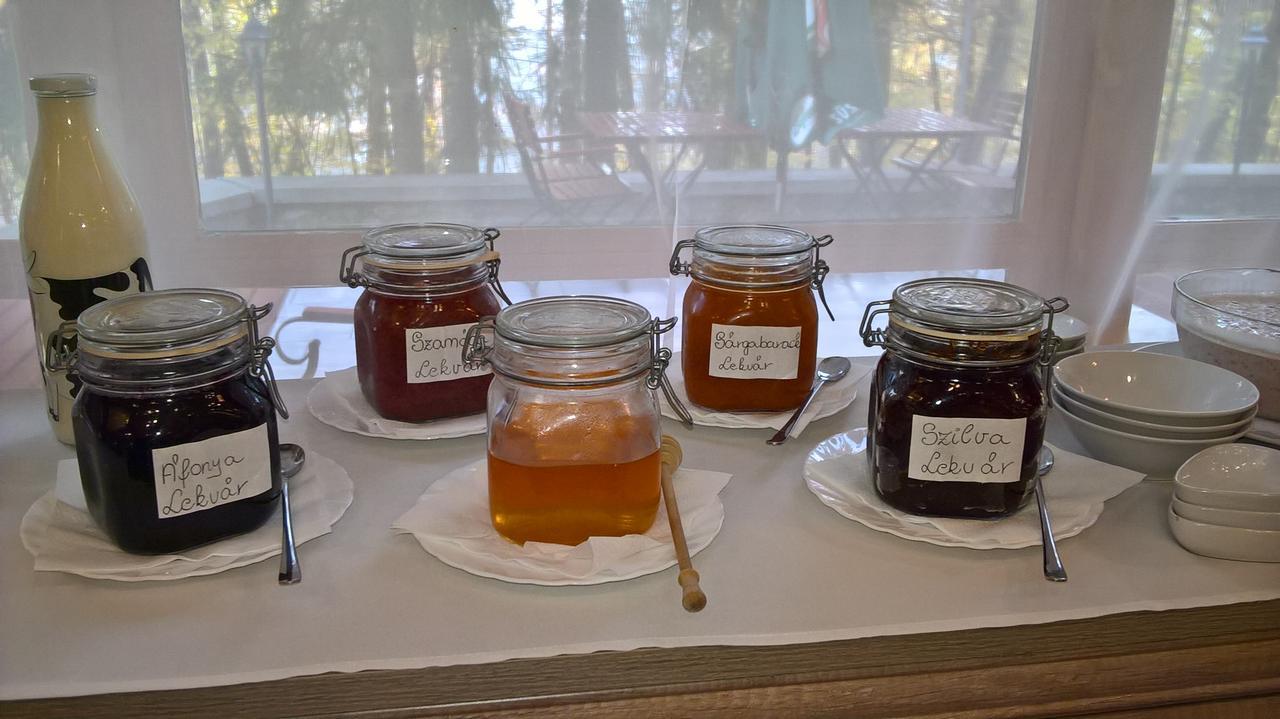 Ezuestfenyo Hotel Telkibánya Zewnętrze zdjęcie
